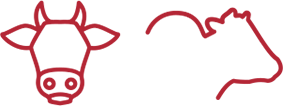 Icovet